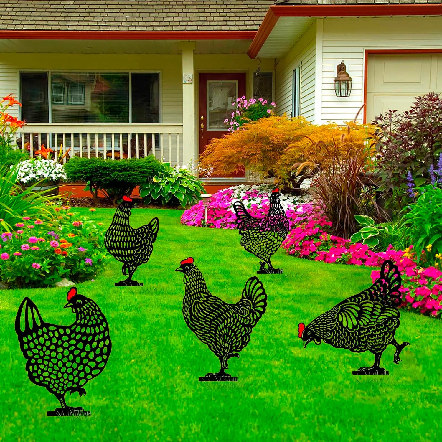 Back yard